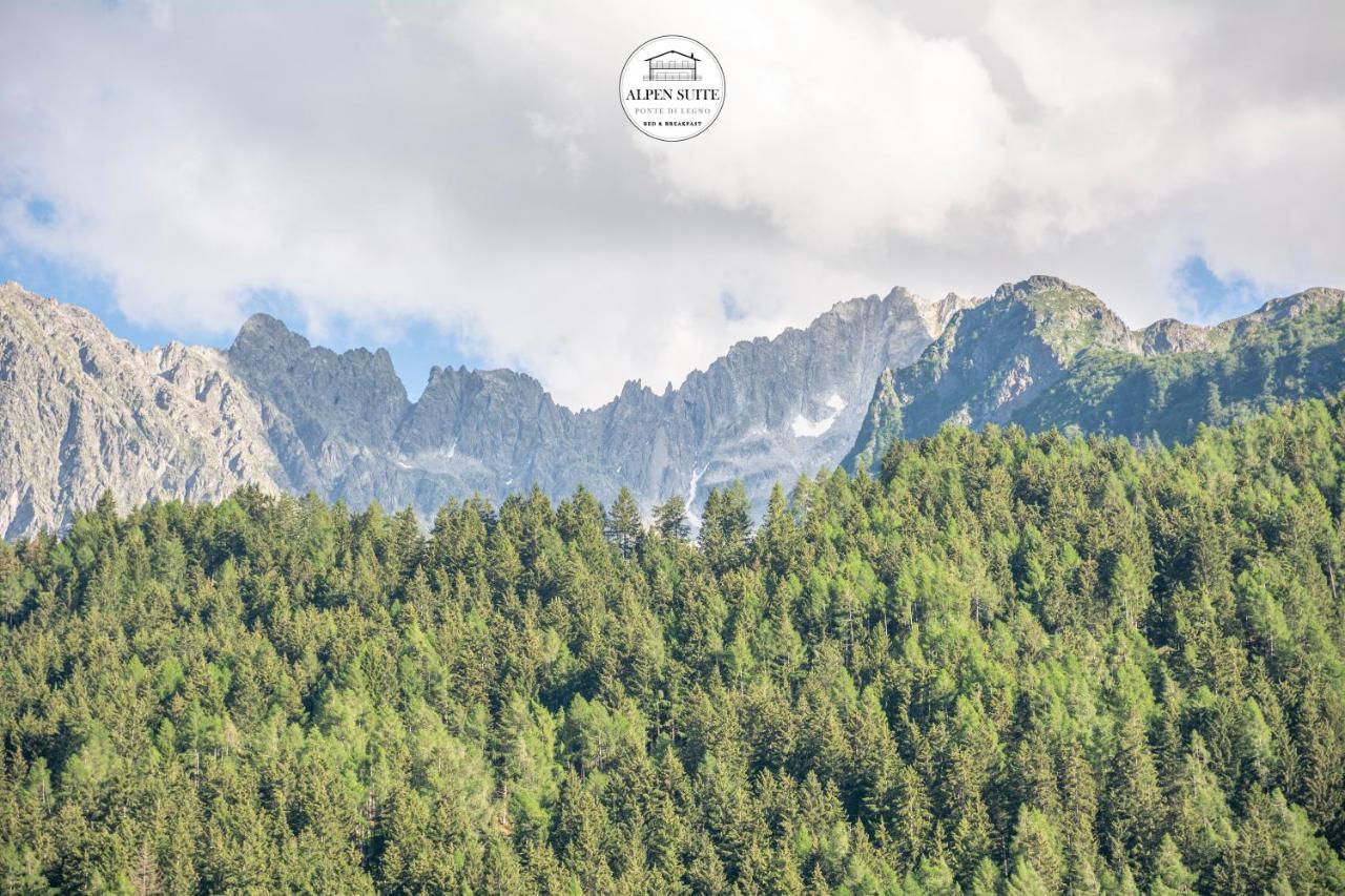 B&B Alpen Suite ポンテ・ディ・レーニョ エクステリア 写真