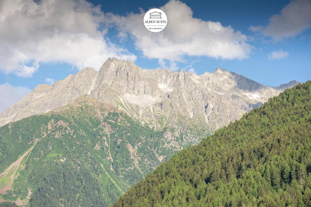 B&B Alpen Suite ポンテ・ディ・レーニョ エクステリア 写真